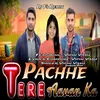 About Tere Pachhe Aavan Ka Song