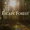 Escape Forest