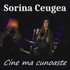 About Cine ma cunoaste Song