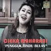 About Pungguk Rindu Bulan Song