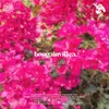 About Bougainvillea. Song