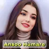 About Ansoo Humare Song