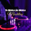 About Ya Moula Ali Moula Song