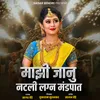 About Majhi Janu Natli Lagn Mandpaat Song