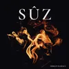 About Suz Song