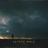 About Letzte Male Song