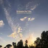 About Grateful for life Song