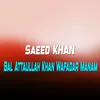 About Bal Attaullah Khan Wafadar Manam Song