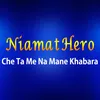 About Che Ta Me Na Mane Khabara Song