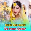 About Da Insan Qadar Song