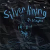 About silver lining Song