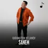 About Sanem Song