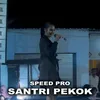 About Santri Pekok Song