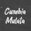 Cumbia Mulata