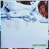 About Life Flowin Song
