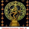 About Chithambaram Endrorutharam Begada Adi Song