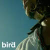 About BIRD Song