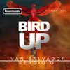 About BIRD UP Song