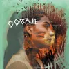 About Coraje Song