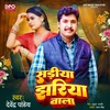 About Sariya Jhariya wala Song