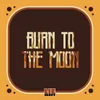 About Burn To The Moon Song