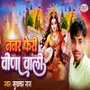 About Najar Feri Veena Wali Song