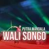 About Wali Songo Song