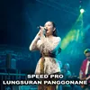 About Lungsuran Panggonane Song