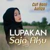 About Lupakan Saja Aku Song