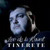 About Tinerete Song