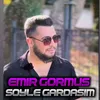 About Söyle Gardaşım Song