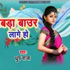 About Bada Baur Lage Ho Song