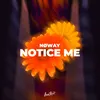 About Notice Me Song