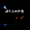 About 追不上的月亮 Song