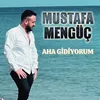 About Aha Gidiyorum Song