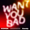 About WANT YOU BAD Song
