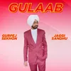 About Gulaab Song