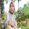 About Cinto Baganggam Arek Song