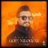 About Gole Niloofar Song