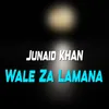 About Wale Za Lamana Song
