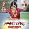 About ऊभोडी उडीखु जोधाणे शहर मै Song