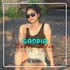 Dj Assalamualaikum Gadis India - Inst