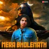 About Mera Bholenath Song