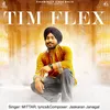 About TIM FLEX Song