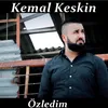 About Özledim Song