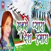 About Sabse Pyara Desh Hamara Song