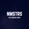 About NMSTRS Song
