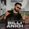 About Billi Ankh Song