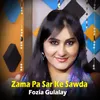 About Zama Pa Sar Ke Sawda Song
