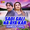 About Sadi Gali Na Aya Kar Song